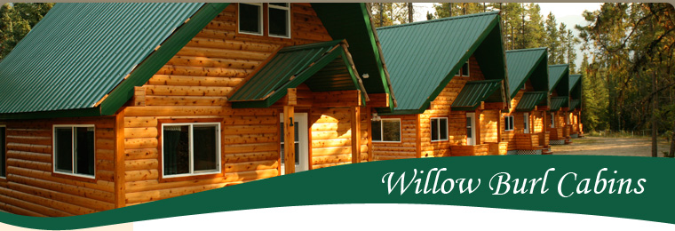 Willow Burl Cabins
